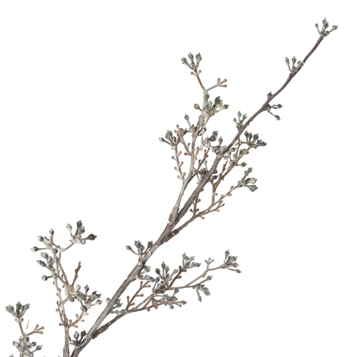 Blossom Berry Vert-WYLD HOME