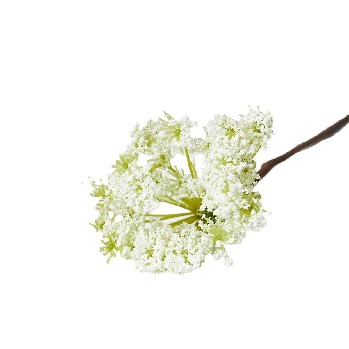 Cow Parsley White 53cm-WYLD HOME