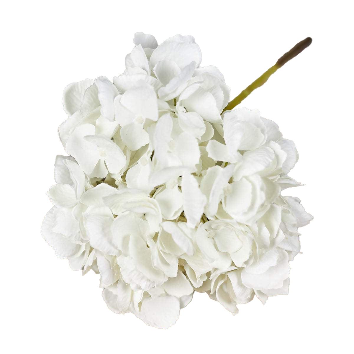 Hydrangea White-WYLD HOME