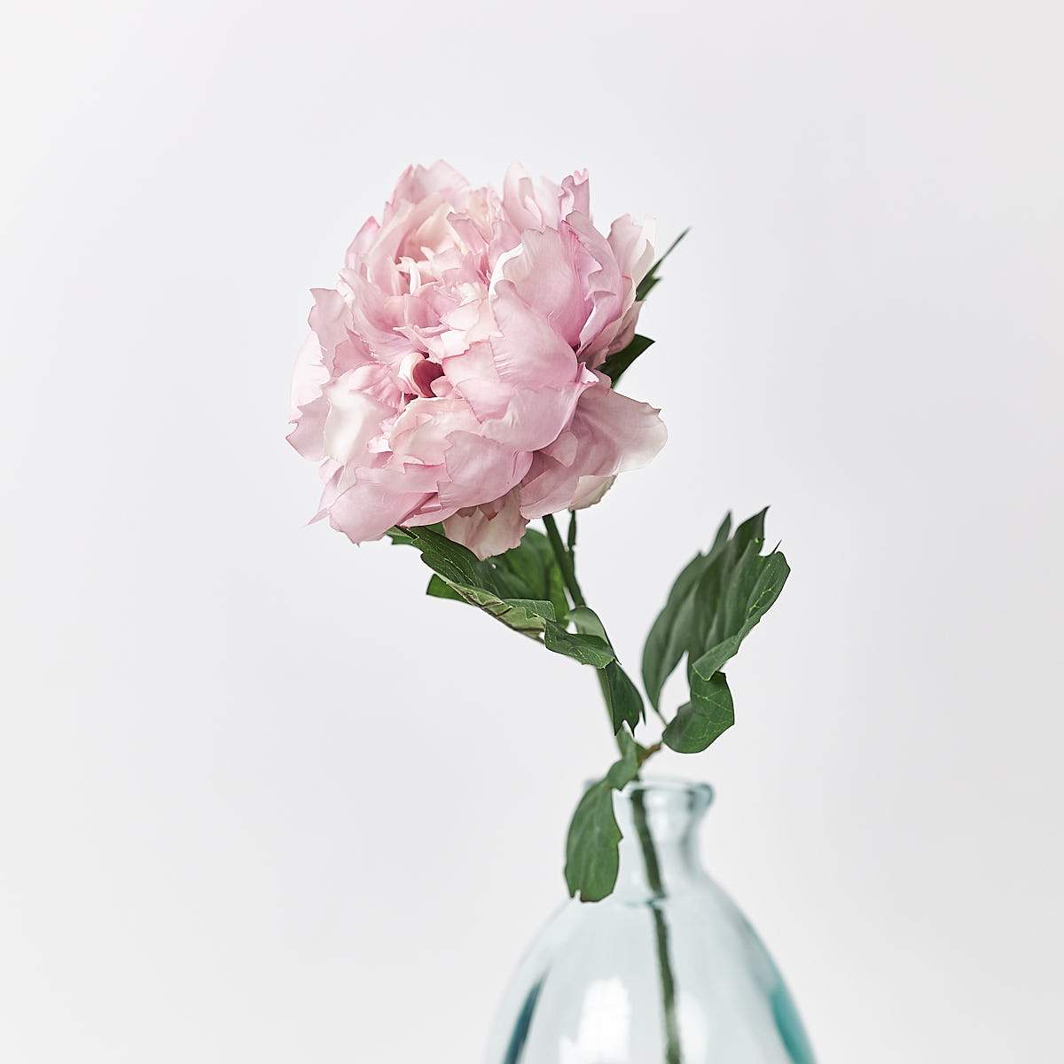 Peony Rouge-WYLD HOME