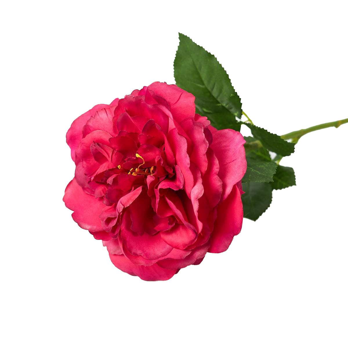 Rose Cerise Pink-WYLD HOME