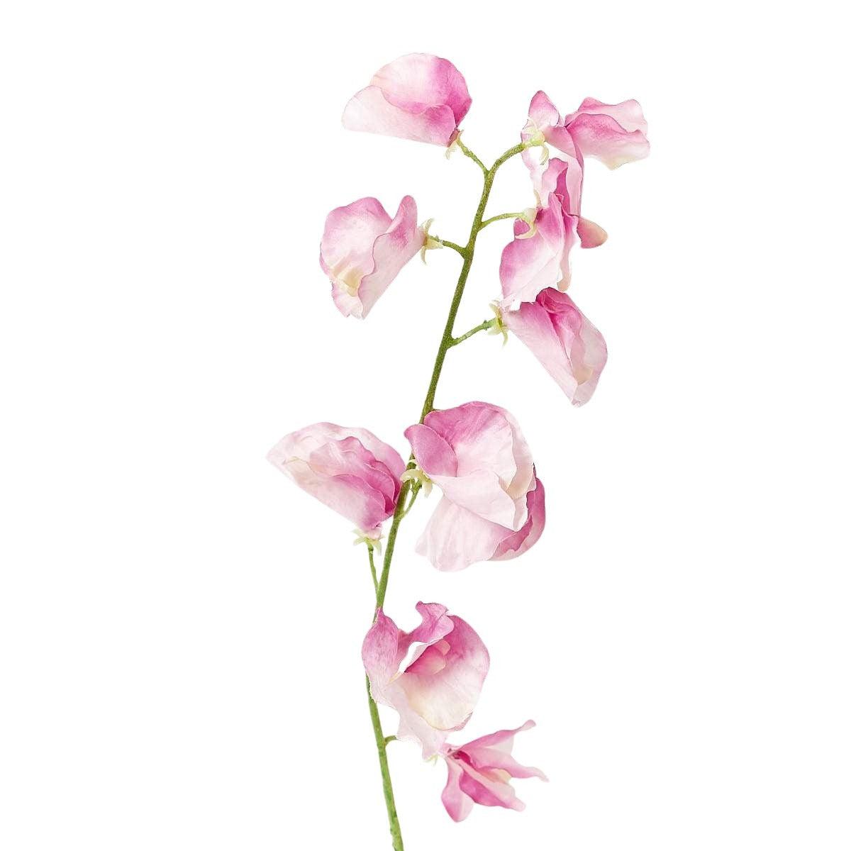 Sweet Pea Pink-WYLD HOME
