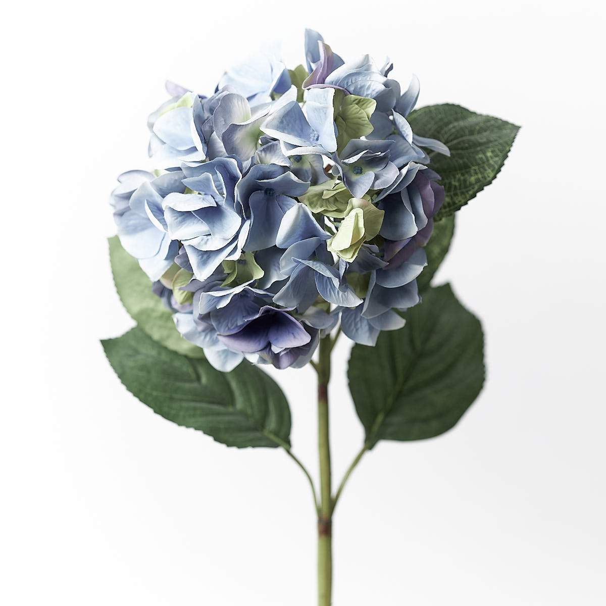Hydrangea Soft Blue-WYLD HOME