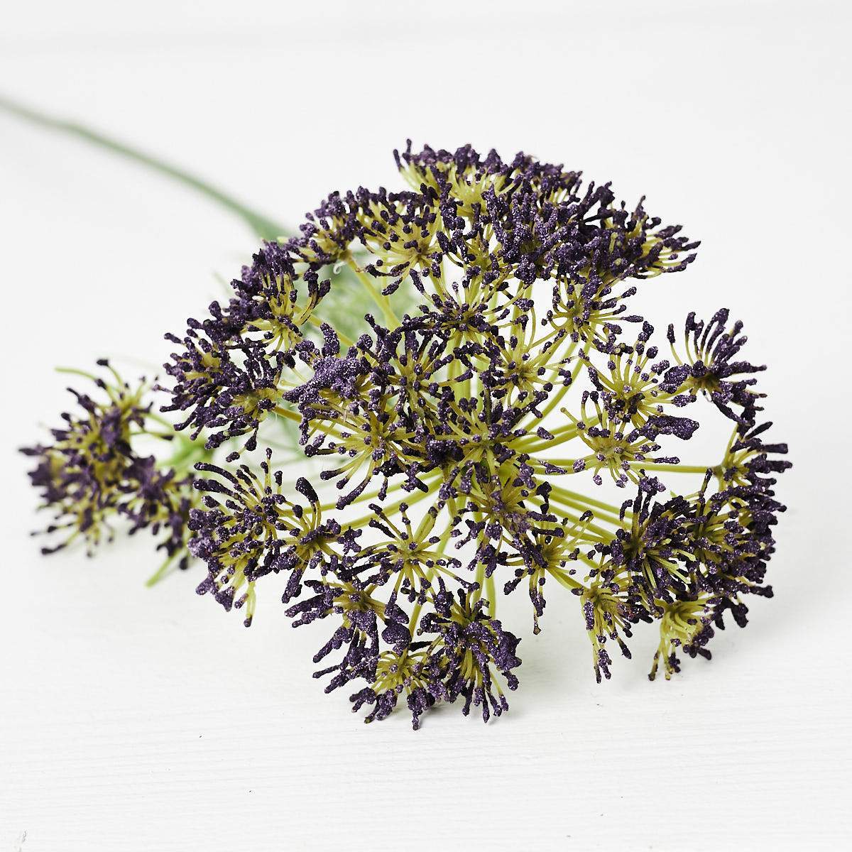 Queen Anne Lace Purple-WYLD HOME